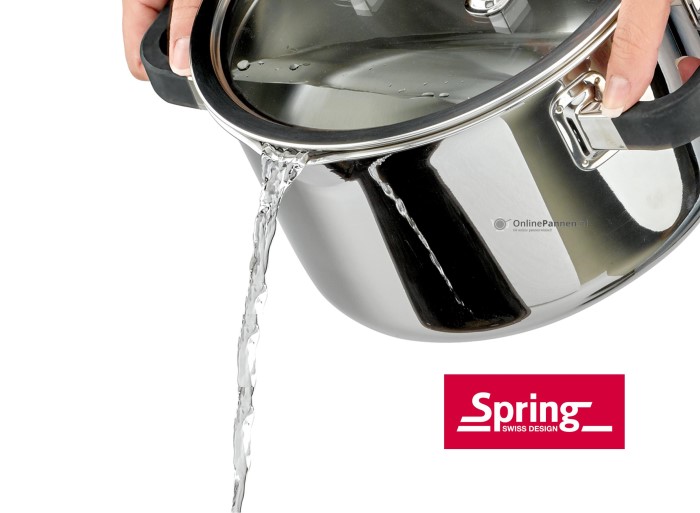 Spring Fusion2+ Kookpan (online) kopen? | OnlinePannen.nl de Expert!