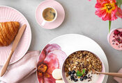 Villeroy & Boch Rose Garden servies